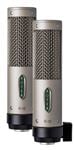Royer Labs R-10-MP DB22 Large Element Mono Ribbon Mics Matched Pair Front View